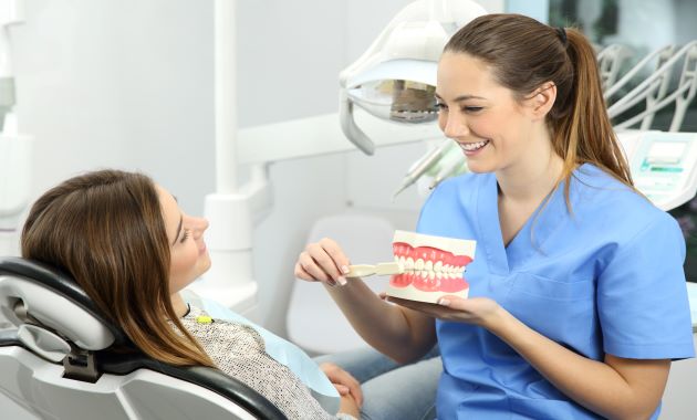 assistante dentaire de niveau 2 statut