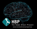 Human Brain Project