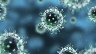 Et s’il était possible de modéliser le prochain virus de la grippe ?