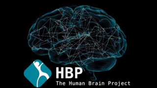 Le projet de premier cerveau humain numérique n’a jamais été aussi proche de sa réalisation