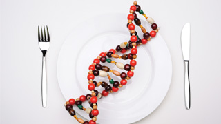 La découverte des gènes qui influencent le choix des aliments