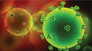 VIH : l’origine de la pandémie identifiée