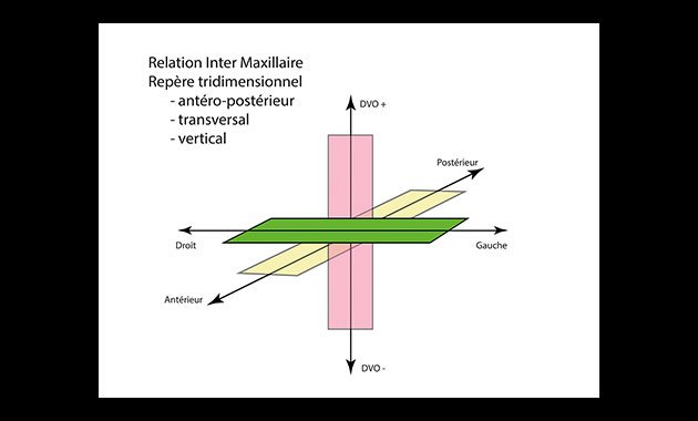 La relation centrée