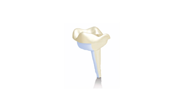 Orthodontie simple, sûre et confortable