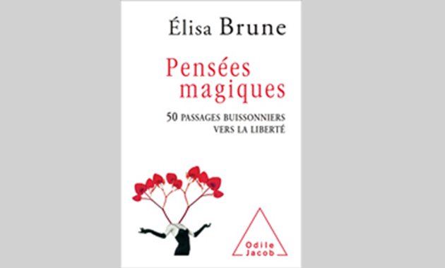 Le petit livre des 50 moments de psychologie inventive