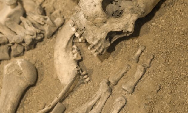 La dent de lait qui pourrait bouleverser ce qu’on pensait savoir sur Homo Sapiens