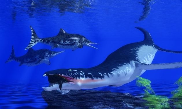 Découverte de la plus grosse dent d’ichtyosaure, un reptile préhistorique