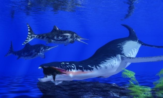 Découverte de la plus grosse dent d’ichtyosaure, un reptile préhistorique Découverte de la plus grosse dent d’ichtyosaure, un reptile préhistorique