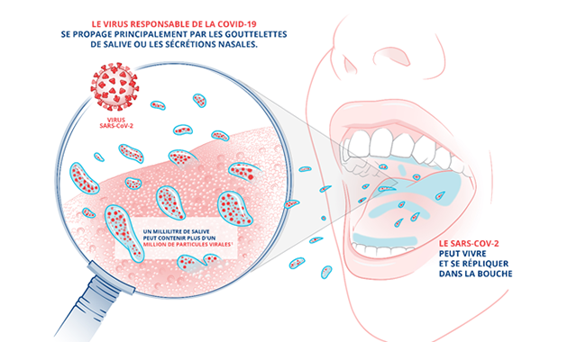 Bain de bouche et SARS-CoV-2