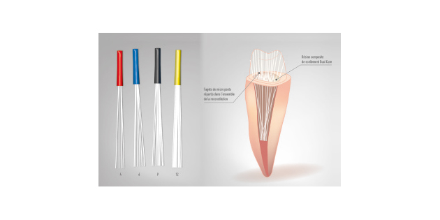 Bio Composants Médicaux  : Biolight Plus