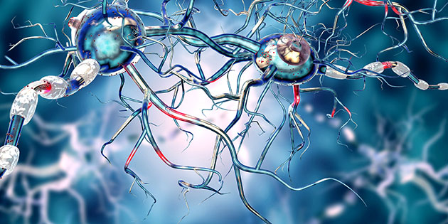 Parkinson – L’impact d’une pathologie neurologique sur la santé bucco-dentaire