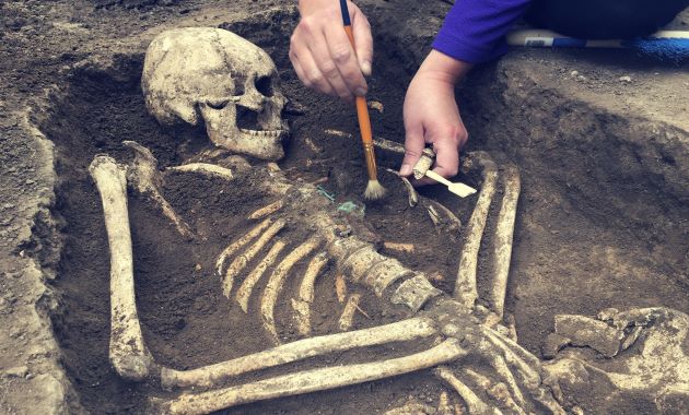 Des analyses de dents remettent en question l’origine des premiers Américains