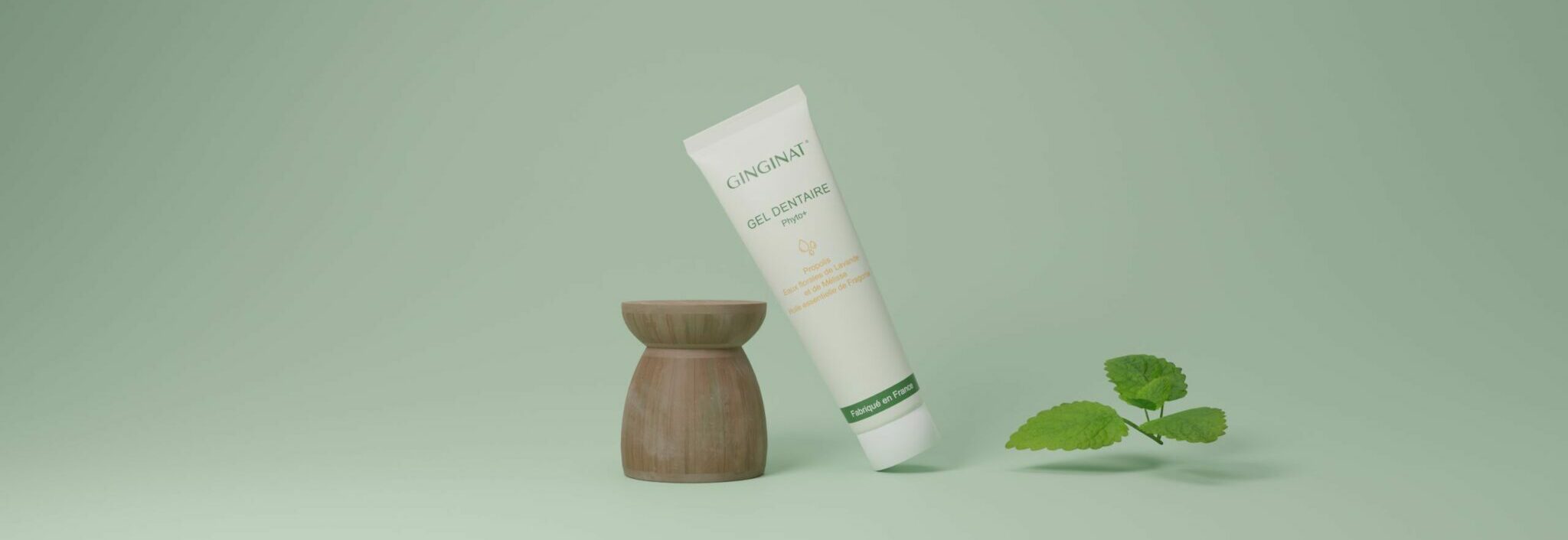 Gel Phyto+ Ginginat Gel Phyto+ Ginginat