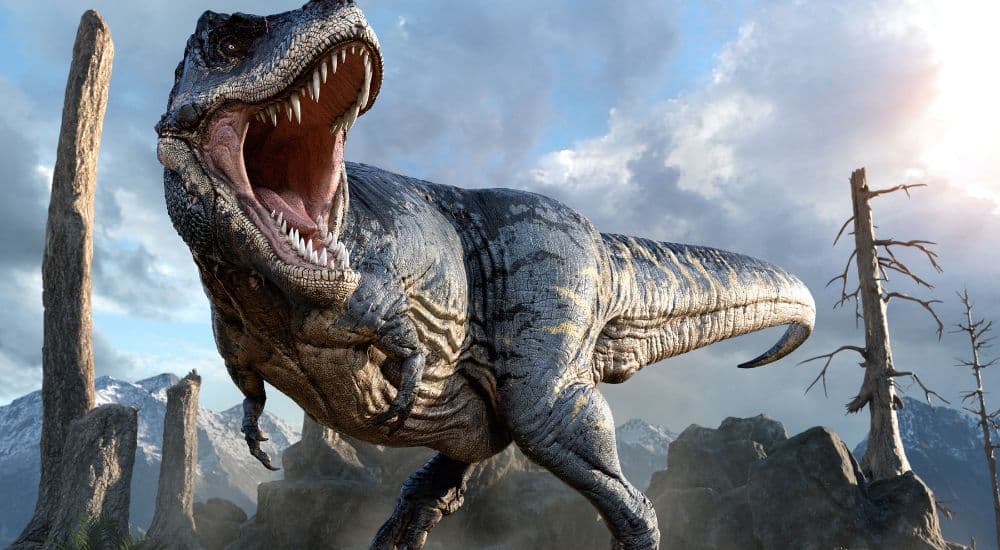 Les crocs acérés des tyrannosaures recouverts par des lèvres ?