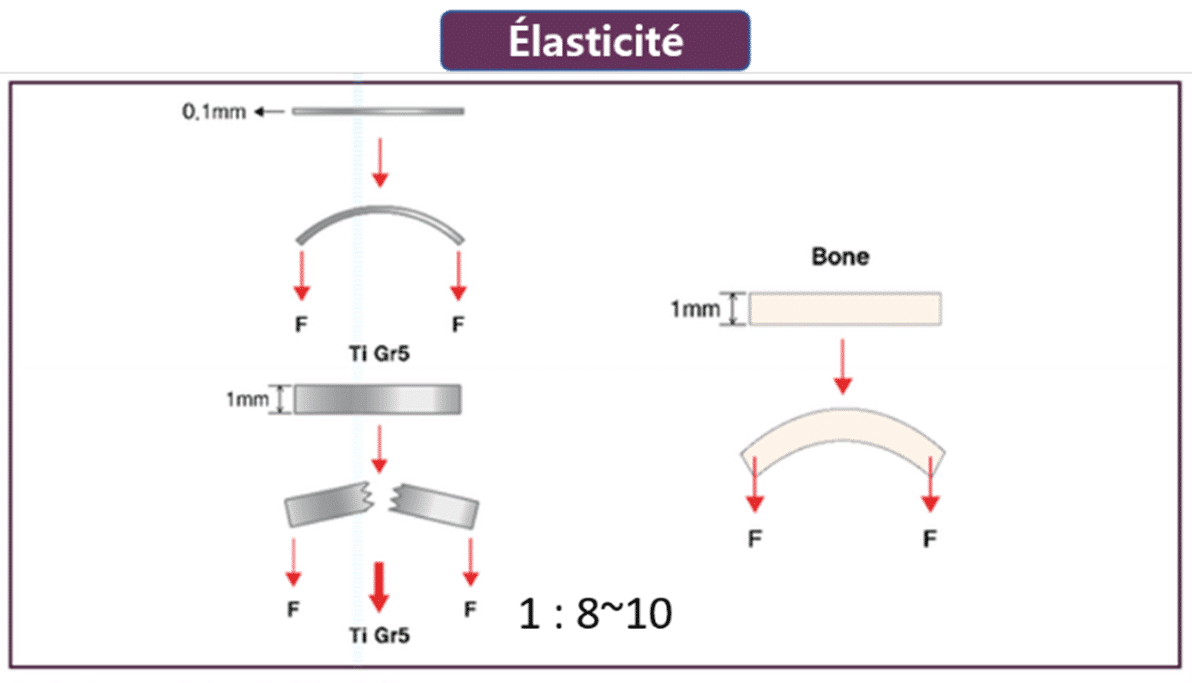 différence de flexibilité