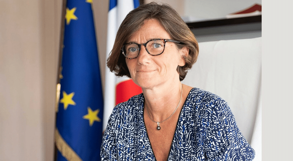Agnès Firmin-Le Bodo, nouvelle ministre de la Santé par intérim, nie « tout conflit d’intérêts » Agnès Firmin-Le Bodo, nouvelle ministre de la Santé par intérim, nie « tout conflit d’intérêts »