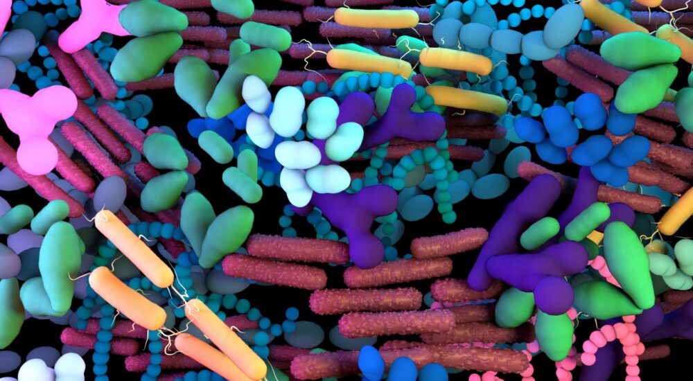 Veiller à l&rsquo;équilibre du microbiote buccal
