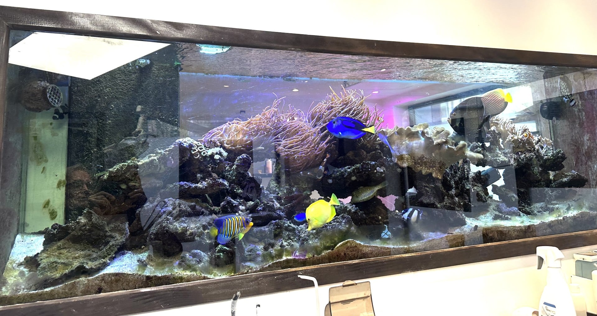 aquarium
