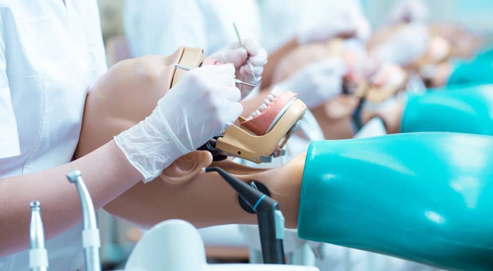 Gros plan de l’étudiant en dentisterie sur les cours, refus 7ème année en odontologie