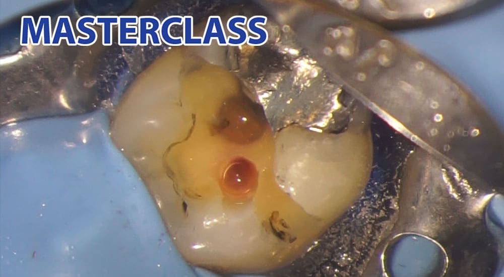 stéphane simon article