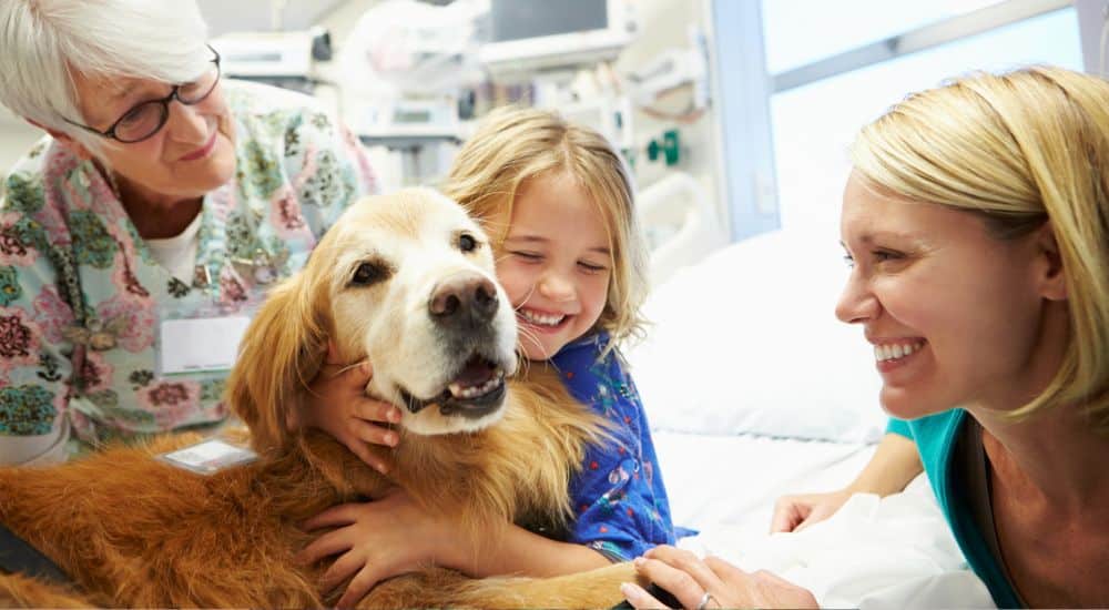 Enfant dans un cabinet dentaire avec un chien et une dame âgée. thérapie canine pour les soins dentaires